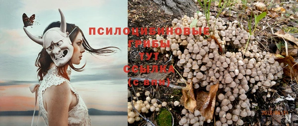 крисы Навашино