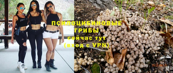 крисы Навашино